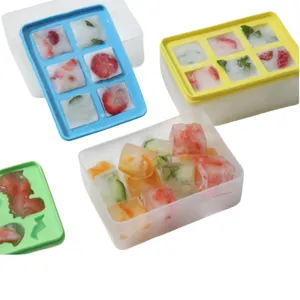 Vue détaillée des bacs à glaçons carrés avec couvercle, boîtes à glaçons de fruits.