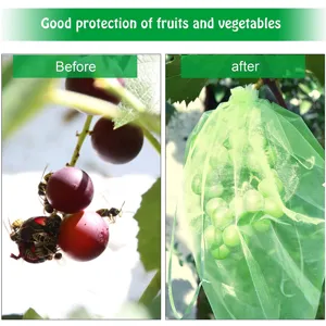 Fruit beschermingsnet detail toont druif insect en vogel preventie effect voor en na gebruik.