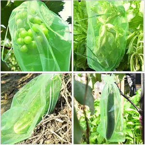 Detailoverzicht van groene netfruitbeschermingszak in de tuin voor druiven en groenten.