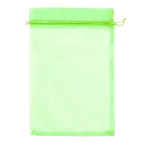 Lichtgroene organza koord geschenkzak, doorzichtige mesh zak voor sieraden en fruitbescherming