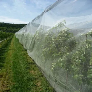 Vista detallada de la red agrícola antiinsectos que protege eficazmente las plantas.