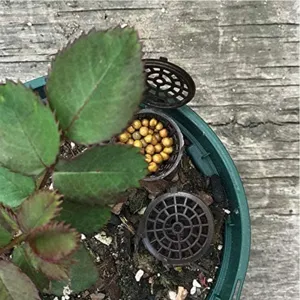 Cestello per fertilizzante in plastica con coperchio per piante in vaso, scatola per radici.