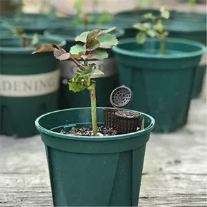 Cesti per fertilizzanti per piante portatili con coperchio, scatole in plastica per giardino.