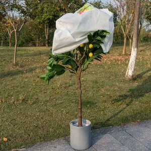 Cubierta de protección contra heladas para plantas de tela no tejida con estampado navideño.
