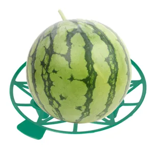 Plastic melon cradle support tray for gardening agriculture watermelon protection tool.