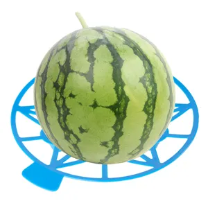 Plastic melon support tray for garden, blue fruit cradle detail view showing watermelon protection.