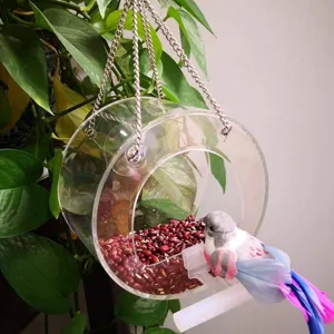 Detailed view of transparent acrylic hanging bird feeder with metal chains and small bird.