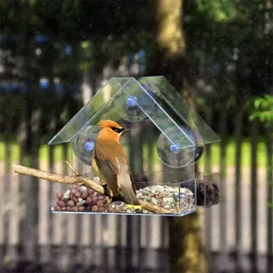 Clear acrylic window bird feeder with strong suction cups and perching wood for outdoor wild birds.
