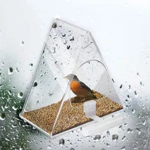 Clear acrylic window bird feeder detail shot showing transparent house design and bird inside.