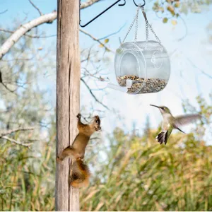 Clear acrylic hanging bird feeder for outdoor garden use, featuring a round design with chain.