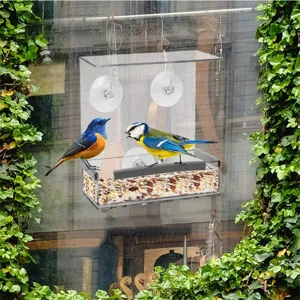 Clear acrylic window bird feeder detail showing suction cups and feeding birds eating seeds.