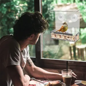 Clear acrylic window bird feeder with strong suction cups, perfect for wild bird watching.