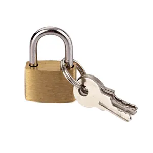 Close-up of a 20mm small brass padlock with keys, ideal for luggage and mailboxes secure use.