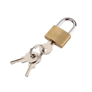 Close-up detail of a small 20mm brass padlock and three keys, premium metal hardware accessory.