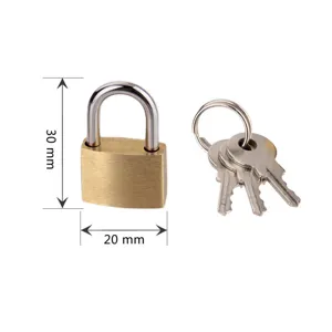 Small brass padlock with keys, 20x30mm portable luggage lock for suitcase, cabinet, and mailbox.