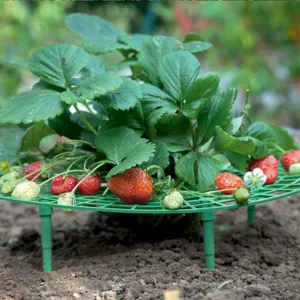 Detailed view of green plastic strawberry support rack, garden plant climber frame for balcony.
