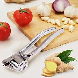 Stainless steel garlic press detail view, kitchen tool for easy garlic mincing and crushing.