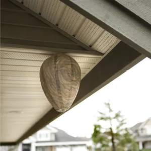 Wasp nest decoy hanging under eaves, realistic hornet paper lantern pest control.