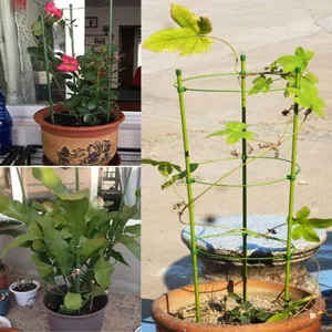 Plant climbing support frame, fiberglass rod and iron ring garden stakes for potted plants.