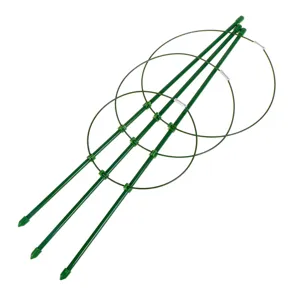 Green plant climbing support stakes detail view, durable trellis rings for garden flowers.