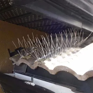 Spilli per uccelli in acciaio inossidabile con base in acrilico per tetto e giardino.