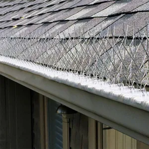 Dettaglio di punte per uccelli in acciaio inox installate su grondaia per protezione.