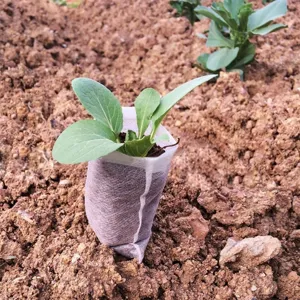Non-woven seedling bags for plant cultivation, biodegradable garden nursery planting pots.