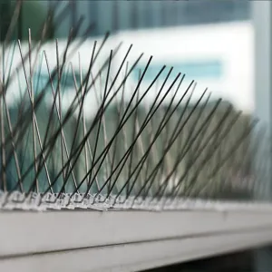 Spilli dissuasori per uccelli in acciaio inox con base acrilica per tetti e frutteti.