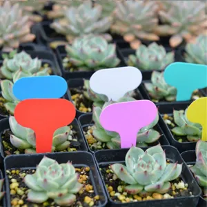 100pcs waterproof T-type plant labels PVC plastic garden markers for flower pot classification.