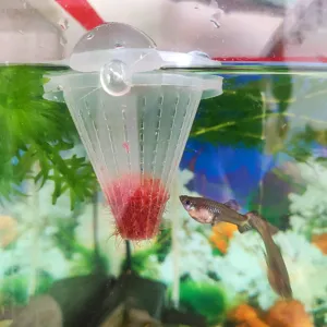 Detailed view of plastic fish tank red worm feeder funnel hanging in aquarium with feeding food.