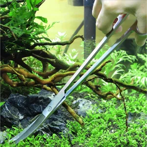 Detail shot of stainless steel aquarium aquascaping scissors trimming lush aquatic plants.