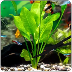 Close-up detail of black stainless steel aquarium aquascaping scissors trimming live plants.