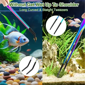 Stainless steel pet feeding tweezers rainbow long curved straight aquarium tools