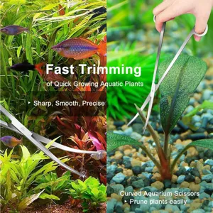 Stainless steel curved aquarium plant scissors detail view showing use in green tank.