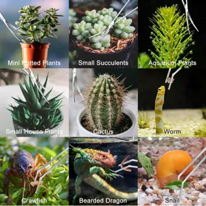 Juego de pinzas y tijeras de acero inoxidable para plantas de acuario y alimentación de reptiles