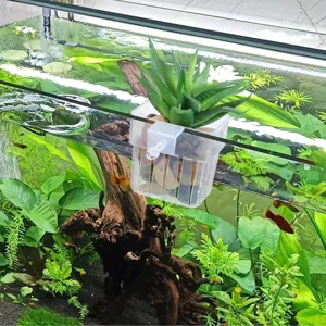 Detailed view of clear plastic aquarium hanging plant holder, perfect for aquatic plant display.
