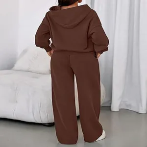 Brown fleece-lined hooded sweatshirt and loose wide-leg sweatpants set detail view back.