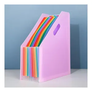 Colorful A4 expanding file folder, multi-layer document organizer for desktop office.