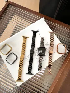 Cinturino a maglie e custodia in acciaio inossidabile compatibili con Apple Watch colori chic.