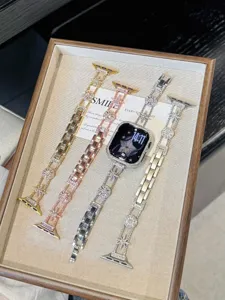 Detailansicht von Metall Stern Diamant Uhrenarmbändern und Gehäuse-Set für Smartwatches.