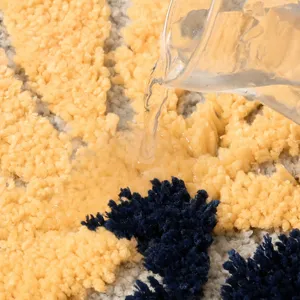 Thick absorbent anti-slip floor mat, soft tufted rug for living room and bathroom use.