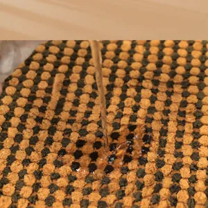 Tappeto da bagno assorbente e antiscivolo, tappeto morbido per doccia e ingresso di casa.