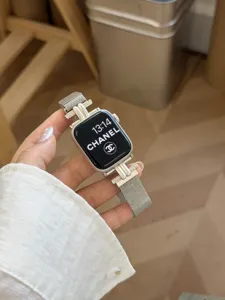 Silbernes Metall Doppelrohr Milanese Smartwatch Armband Detail, elegantes Design.