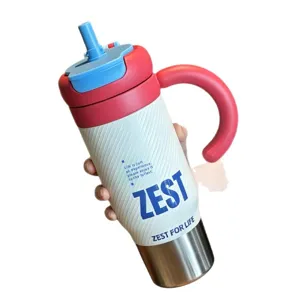 Stainless steel insulated tumbler with straw and handle, large capacity cute water bottle for women.