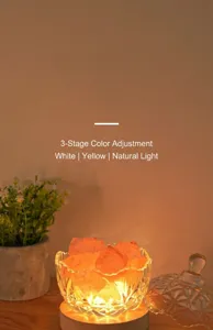 Close-up detail view of the crystal salt lamp and aromatherapy diffuser on wooden base.