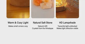 Himalayan salt lamp aromatherapy crystal bedside ambient light with wood base and clear shade