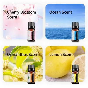 Aromatherapy essential oil set featuring four refreshing botanical scents for home relaxation.