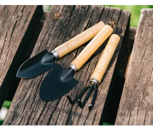 Close-up detail shot of gardening hand tool set featuring wooden handles and black metal heads.