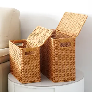 Boîte de Rangement En Plastique Étroite Et Haute Avec Couvercle Style Rotin Panier Mince Pour Espace Coin Salon