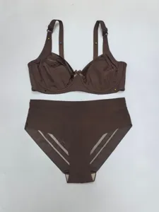 Detailansicht des braunen Plus-Size-Bügel-BH- und gestreiften Mesh-Slips-Sets.
